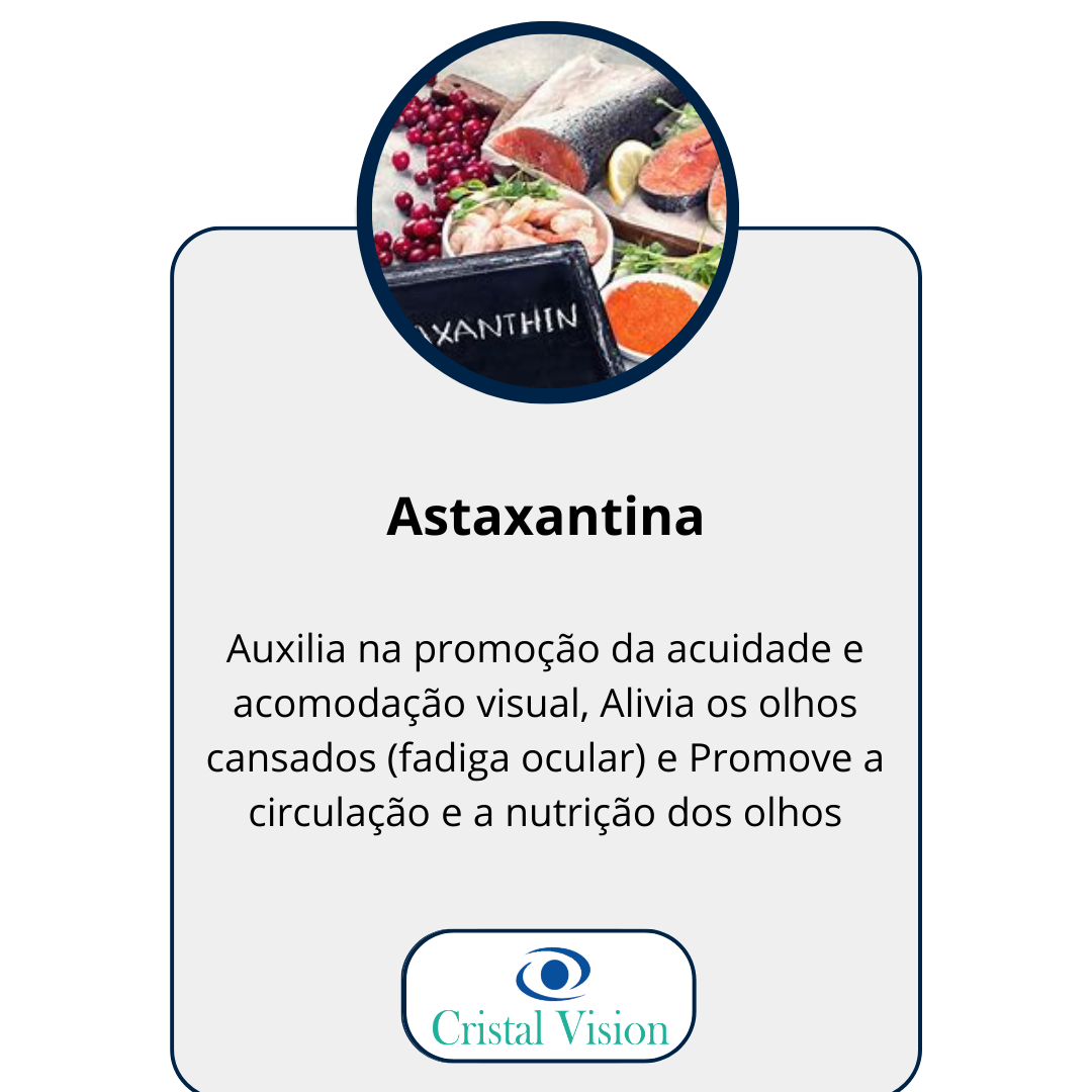 BASE INGREDIENTES (4)